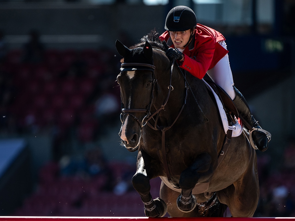 Edouard Schmitz Interview